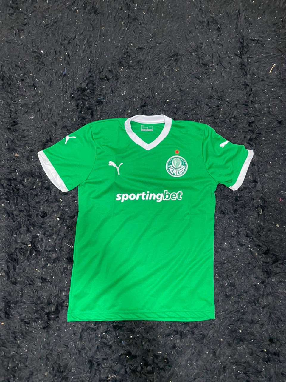 REMERA PALMEIRAS